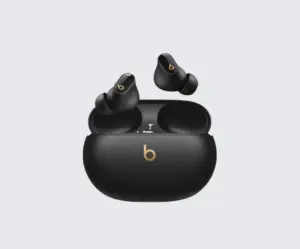 Beats True Wireless Earbuds with Charging Case