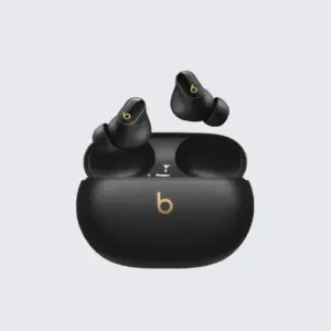 Beats True Wireless Earbuds with Charging Case